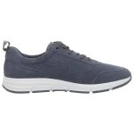 Waldläufer Haslo (Bear Fog)