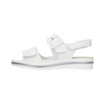 Waldläufer Hakura (Porto weiss)