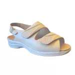 Solidus MONI 019