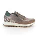 Igi&Co Scam OCELOT